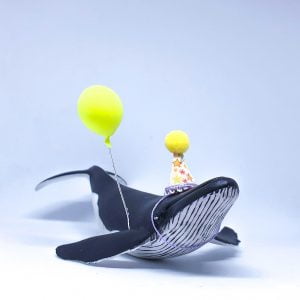 Baby Hump Back Whale