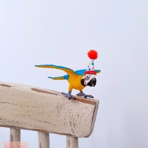 Blue and Yellow Macaw Parrot