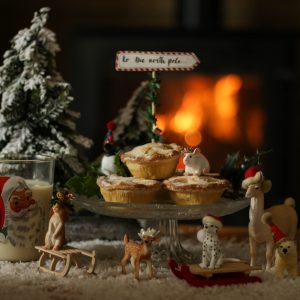 To the North Pole Festive Cake Topper