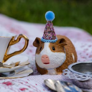 Gentle Giants Guinea Pig