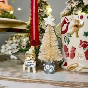 Christmas Tree in Hand Painted Silver Metal Bucket