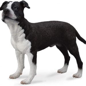 Staffordshire Bull Terrier Staffie Dog