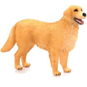 Adult Smiling Golden Retriever Dog