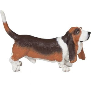 Basset Hound Dog