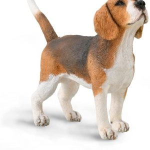New Style Beagle Dog