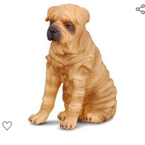 Shar Pei Dog