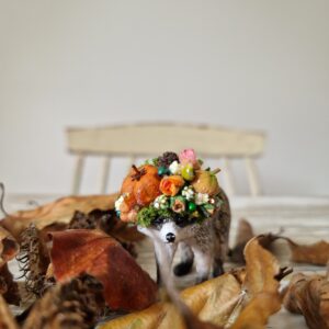 Limited Edition Autumn Woodland Raccoon