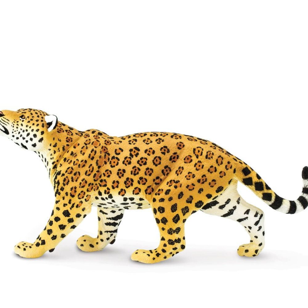 100034-Jaguar