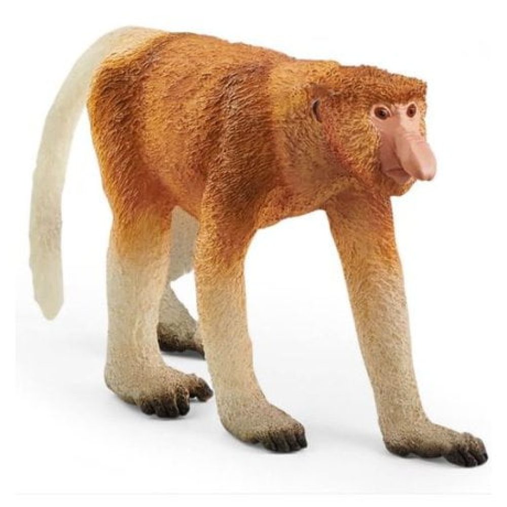 14846
