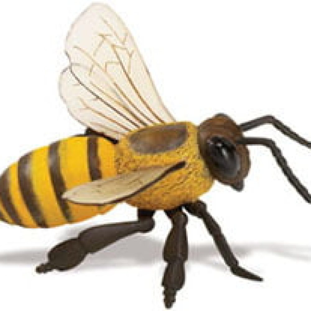 255d71713d0e9dcc2f38a13db349889d