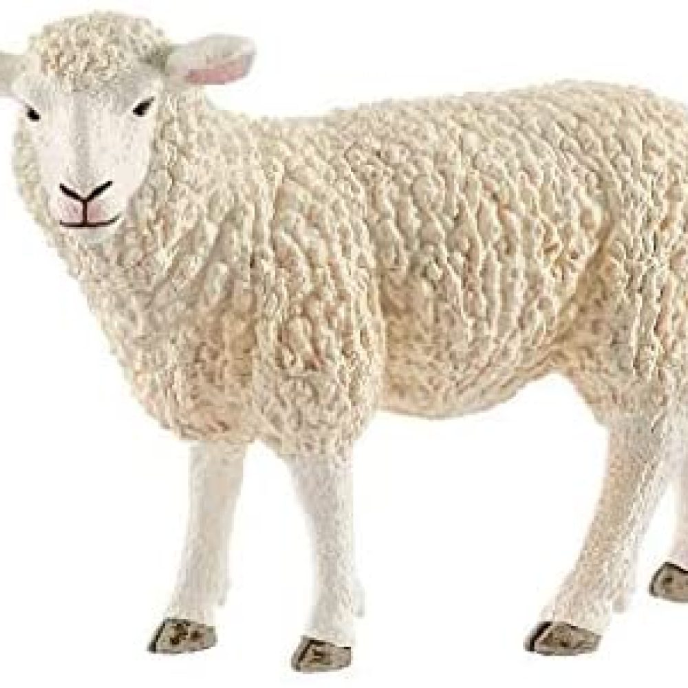 416bMyzCQKL._AC_SY400_