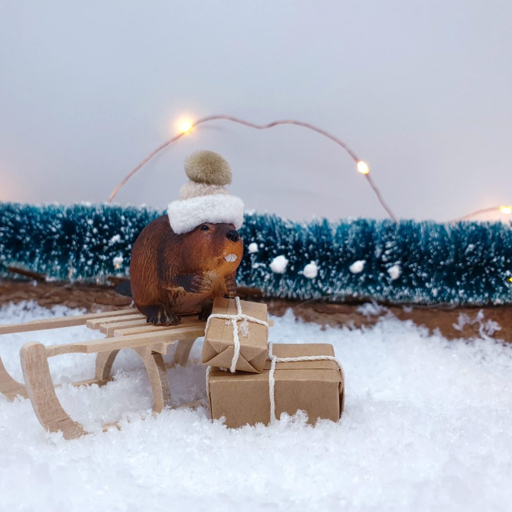 LRM_EXPORT_38153908868709_20191027_181527702