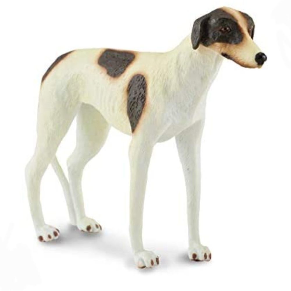 Screenshot_20220524-113613_Amazon Shopping