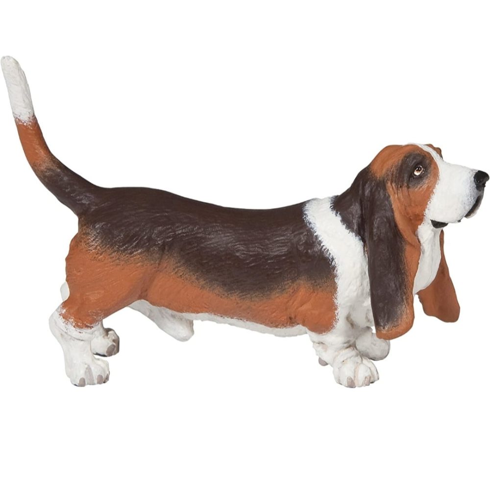 Screenshot_20220524-114828_Amazon Shopping