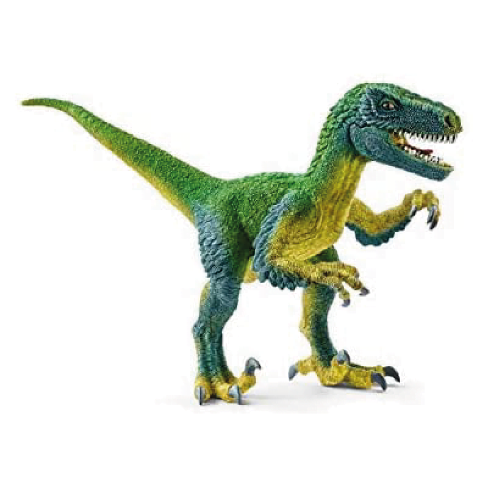 Velociraptor