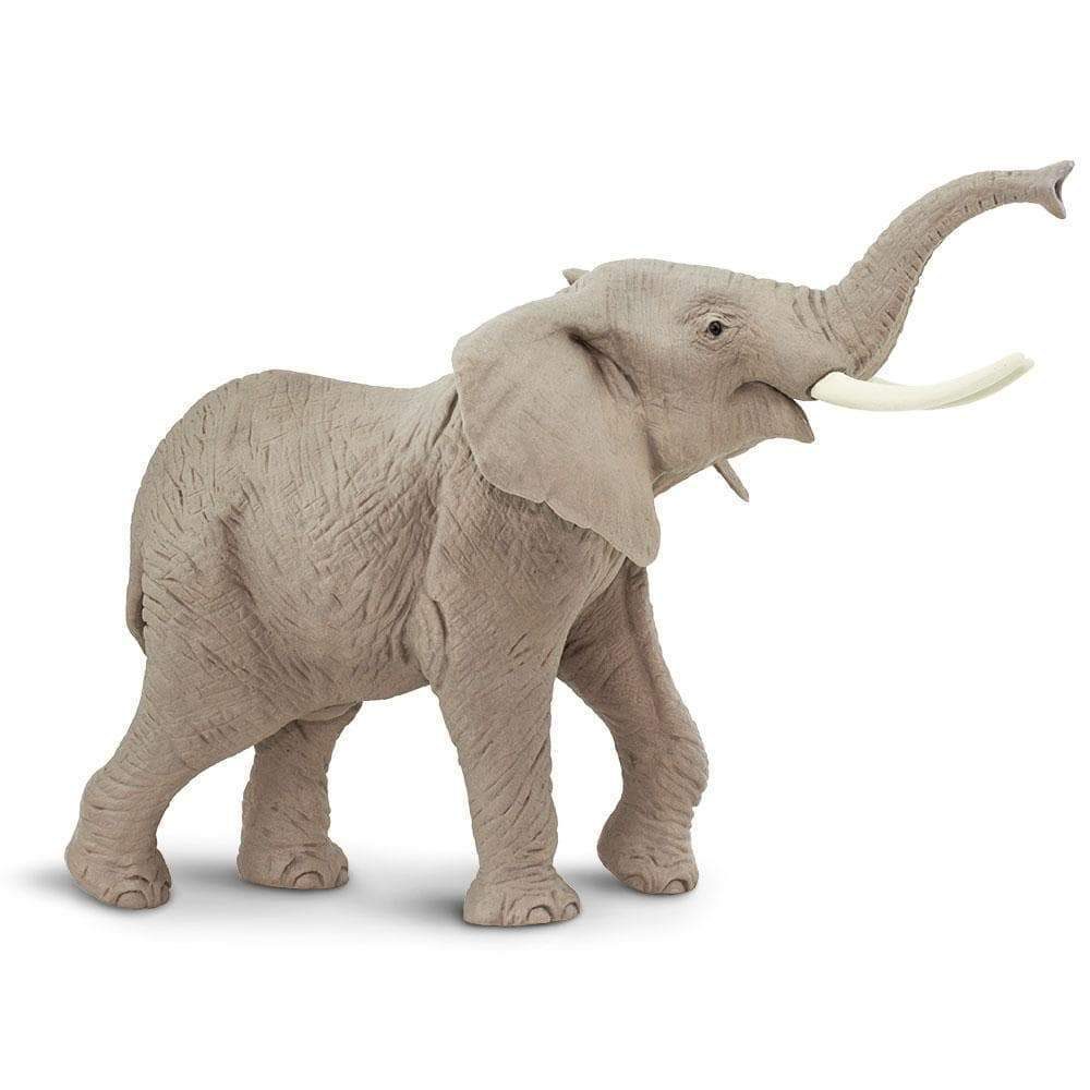 african-elephant-990838_1000x1000