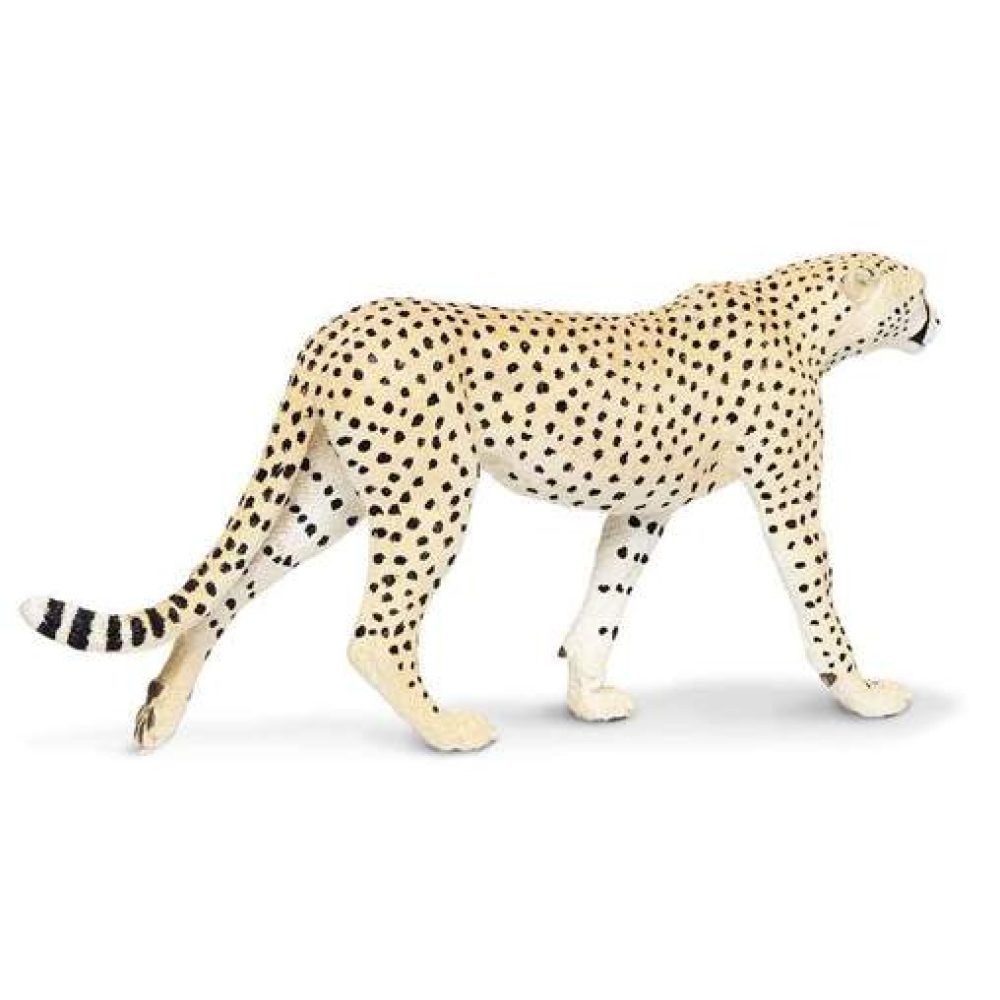 cheetah-904612_508x508