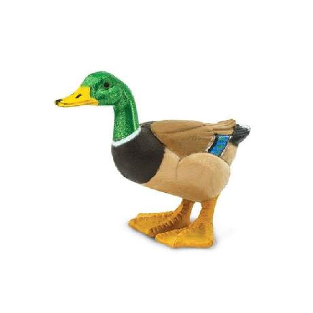 duck-802438_461x461