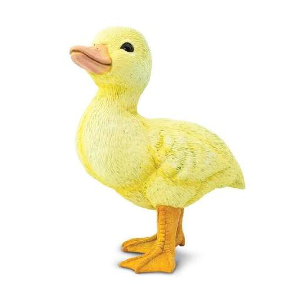 duckling-500996_508x508