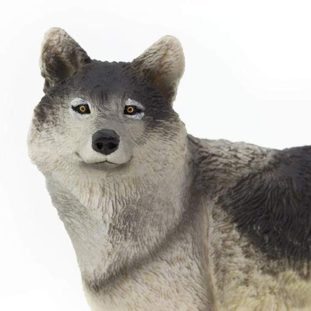 gray-wolf-992623_508x508