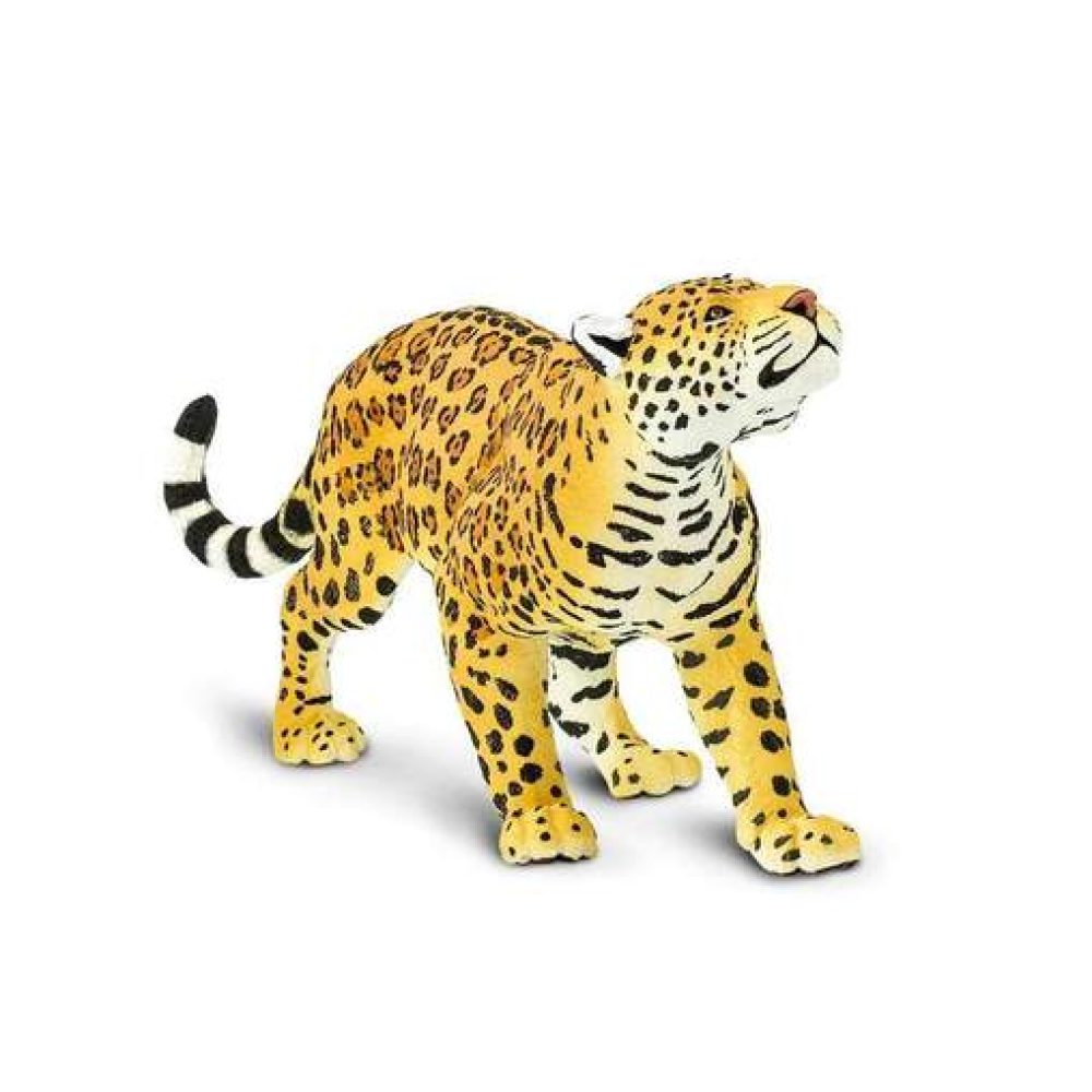 jaguar-425098_508x508