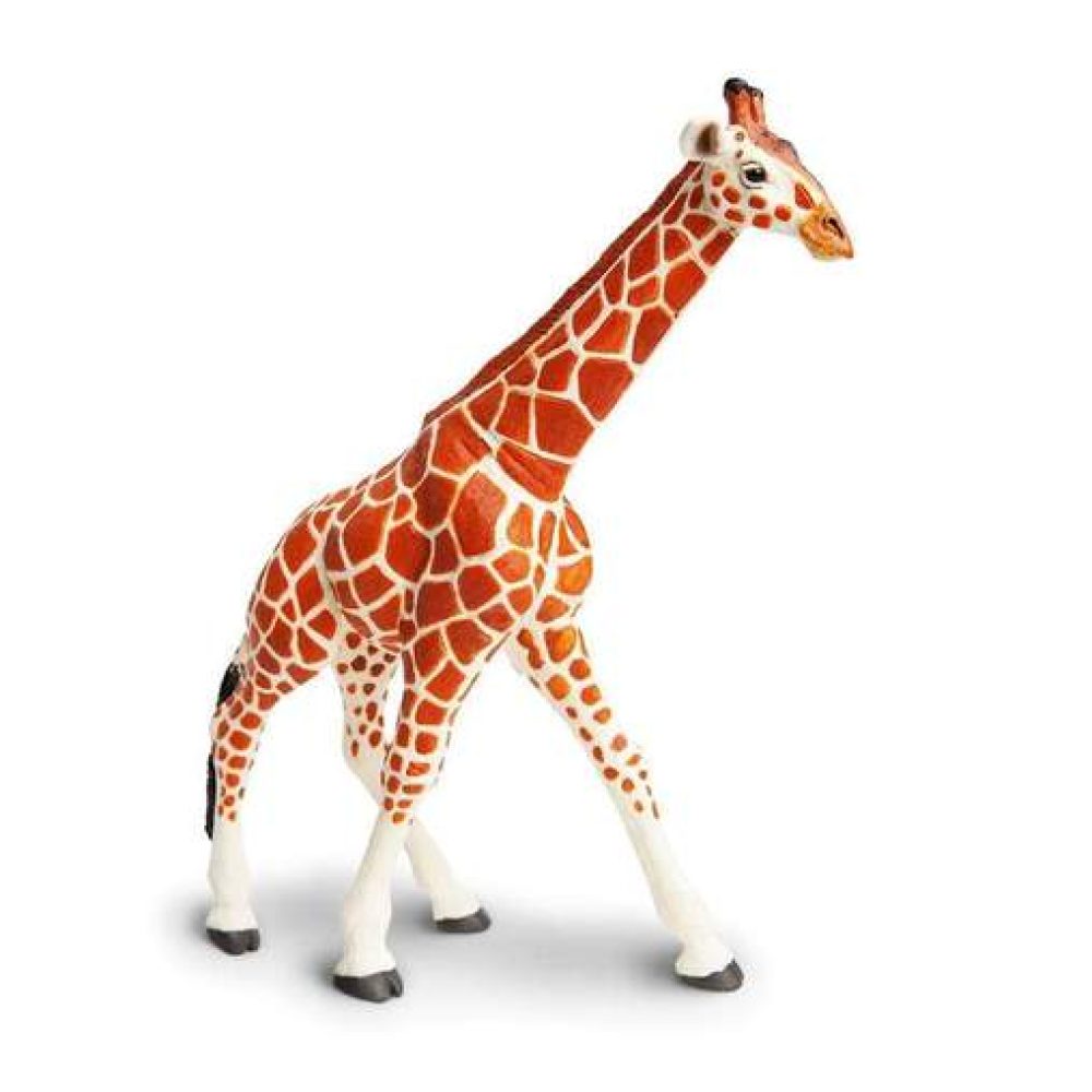 reticulated-giraffe-324050_508x508