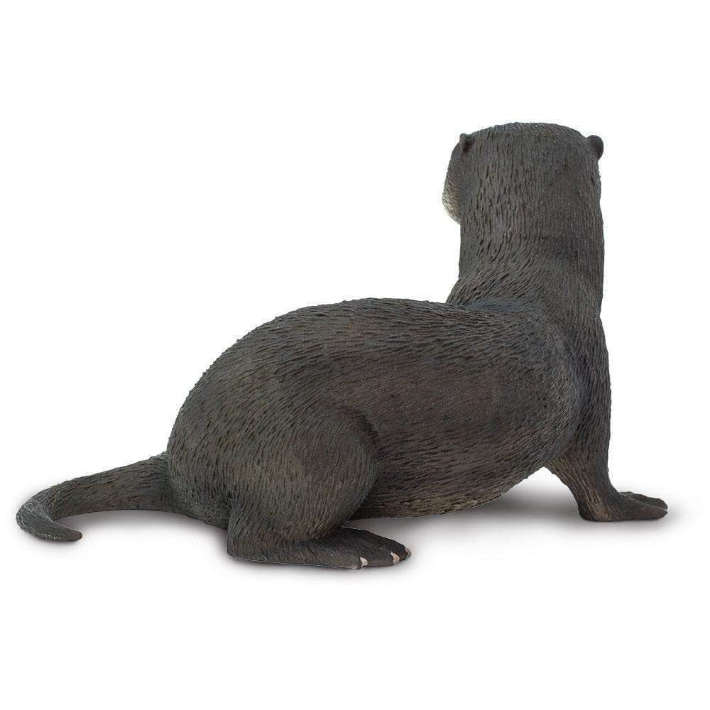 river-otter-592129_1000x1000