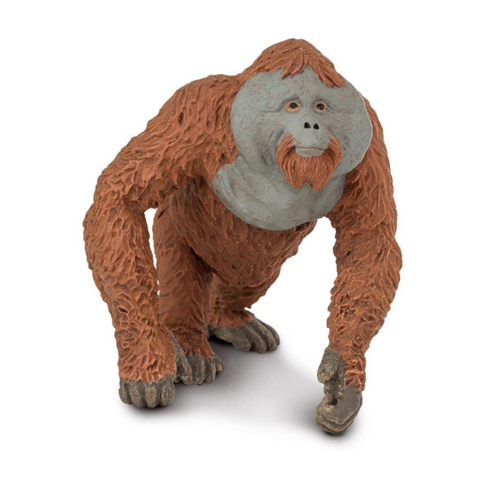 safari-ltd-male-orangutan