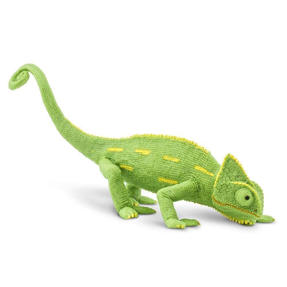 veiled-chameleon-baby-153748_1000x1000